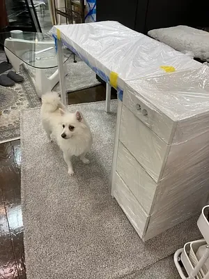 날개형 맞춤제작 2인시술대(품절 당분간 중단)